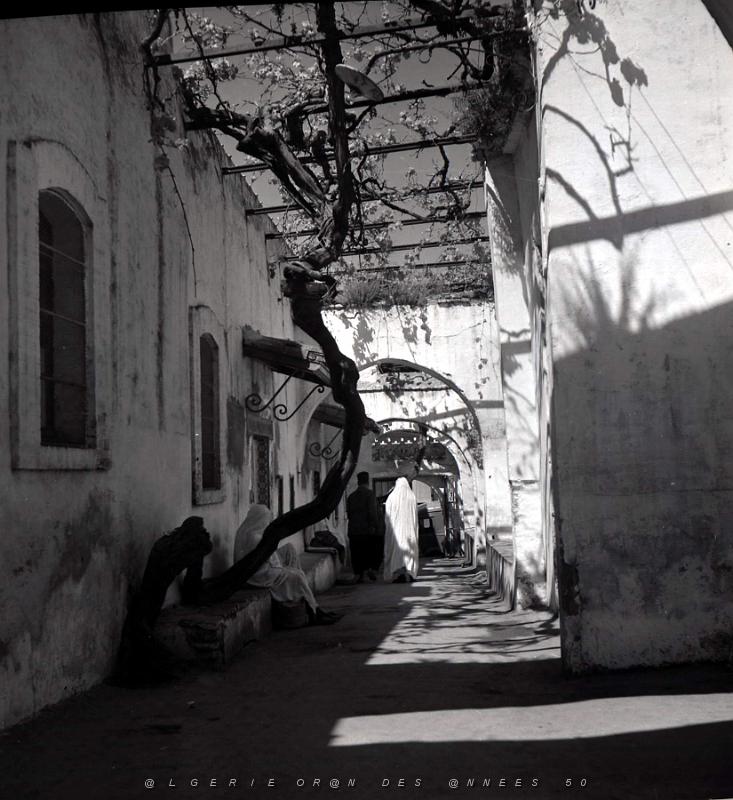 Tlemcen 504- Rue dans vieux Tlemcen COLLECTION DES AMIS DE ND DE SANTA CRUZ.jpg